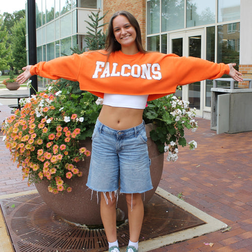 Zoozatz Ladies Falcons Uber Crop