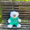 BGSU Medical Plush Bears