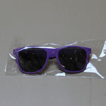 Spirit Falcons Velvet Touch Malibu Sunglasses Purple