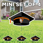 Graduation Cap Yard Sign Set of 4