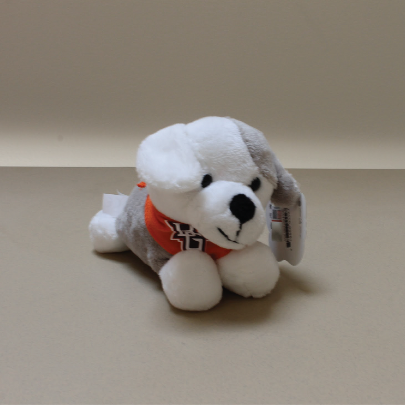 Puppy with BGSU Bandana