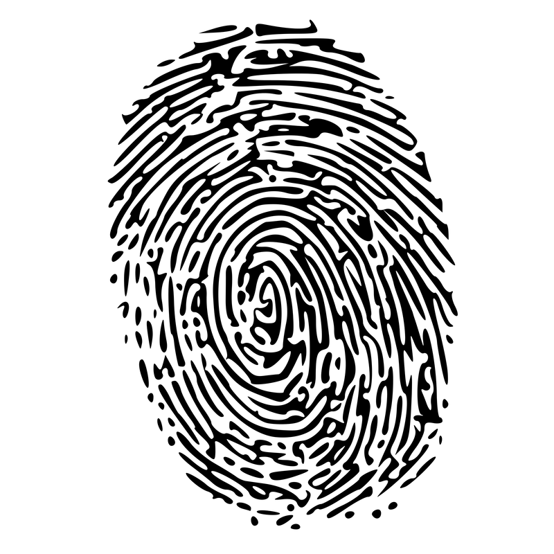 BCI Background Check